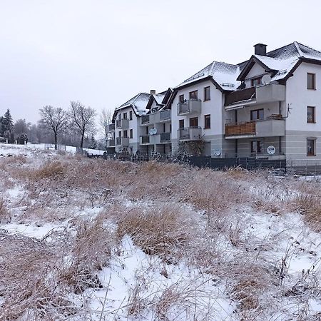 Apartament Prusa Szczawno-Zdroj Zewnętrze zdjęcie